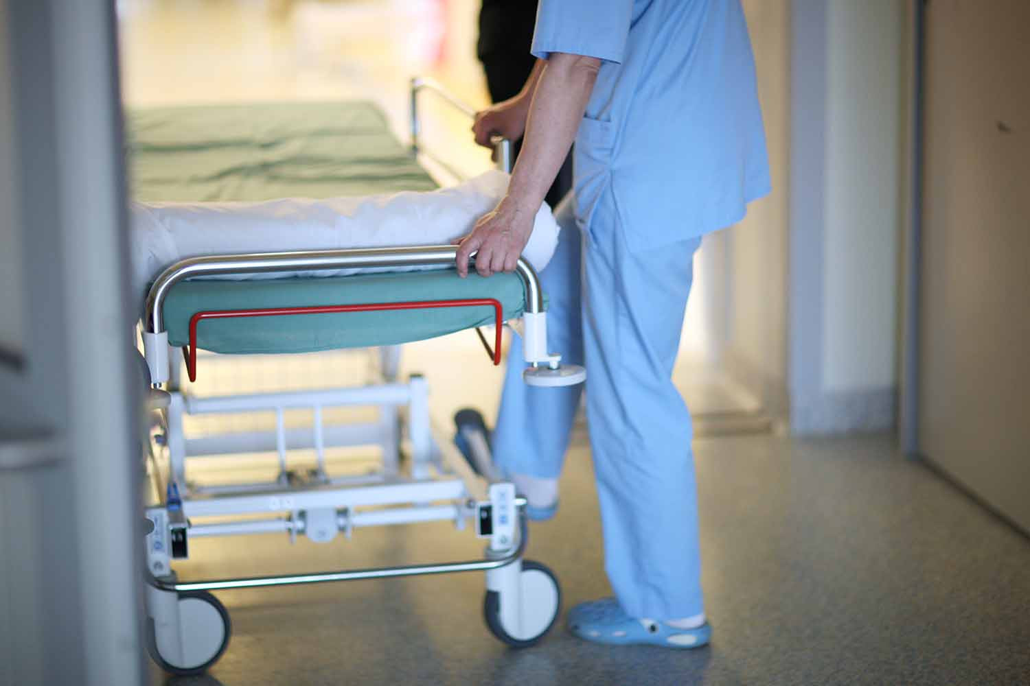 MH-L1 Title Image.jpg